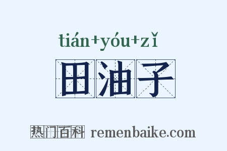 田油子是什么意思的图片